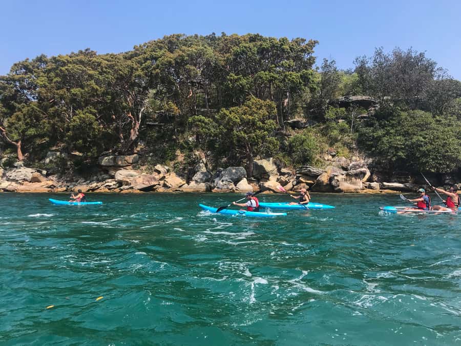 Sydney: Guided Kayak Tour of Manly Cove Beaches - Arriving beside Manly Wharf