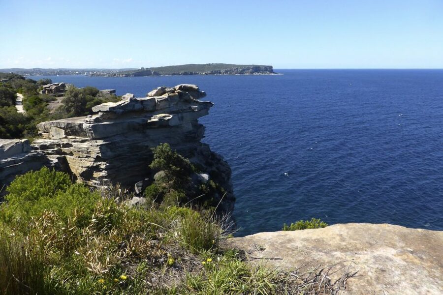 Sydney: Half-Day City Tour - Guides are the heart of the experience