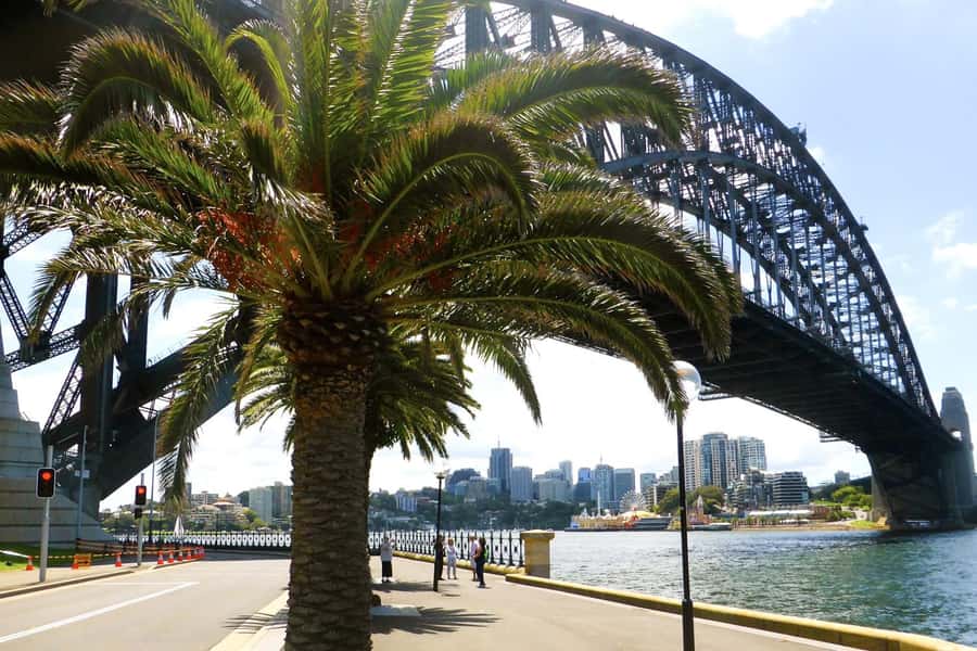 Sydney: Half-Day City Tour - The Rocks and Millers Point: Sydney’s opening chapter