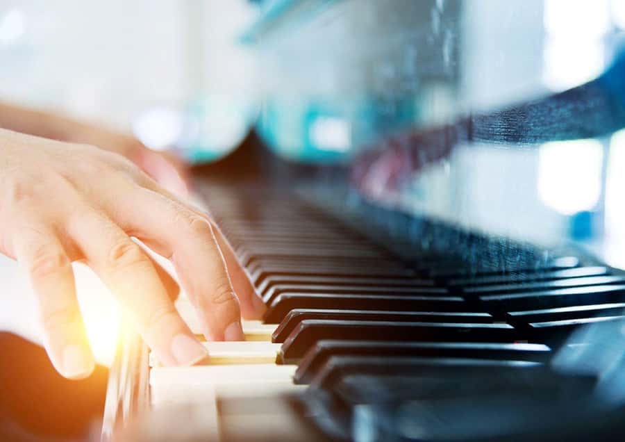Sydney Harbour: 3-Hour Lunch Cruise with Live Music - Who should choose this cruise?