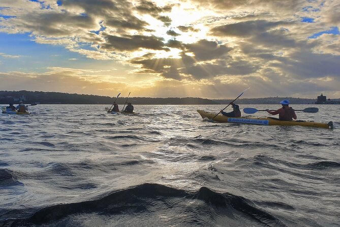 Sydney Harbour Bridge Kayak & Breakfast Tour - Meeting at Quibaree Park at 7:00 am