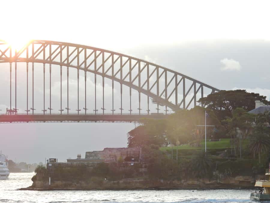 Sydney: Harbour Cruise with Buffet Lunch - Who should book this harbour lunch cruise?
