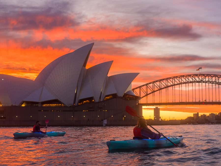 Sydney: Harbour Sunrise Kayak Tour - Key reasons to consider this Sydney kayak tour