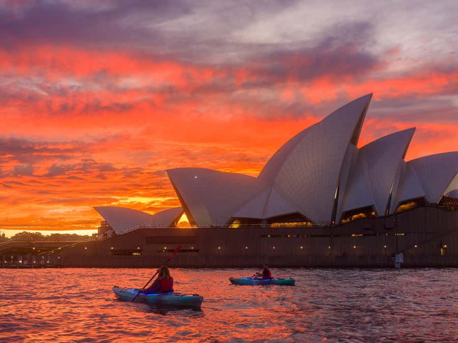 Sydney: Harbour Sunrise Kayak Tour - Is $119 good value?