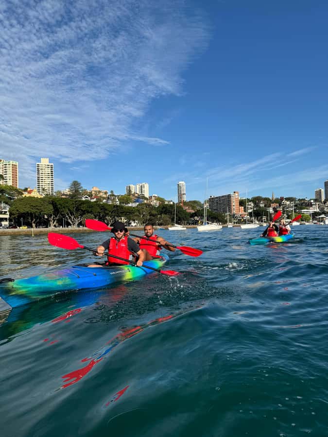 Sydney: Harbour Sunrise Kayak Tour - Meeting at dAlbora Marinas Rushcutters Bay