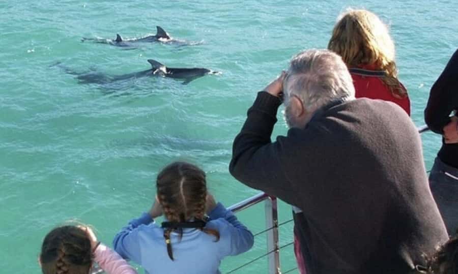 Sydney: Jervis Bay Day Trip with Dolphins, Roos & Beach Time - The Royal National Park photo stop