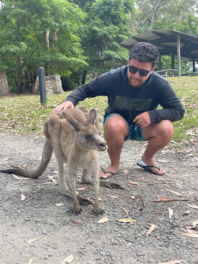 Sydney: Jervis Bay Day Trip with Dolphins, Roos & Beach Time - The 1.5-hour dolphin cruise in Jervis Bay
