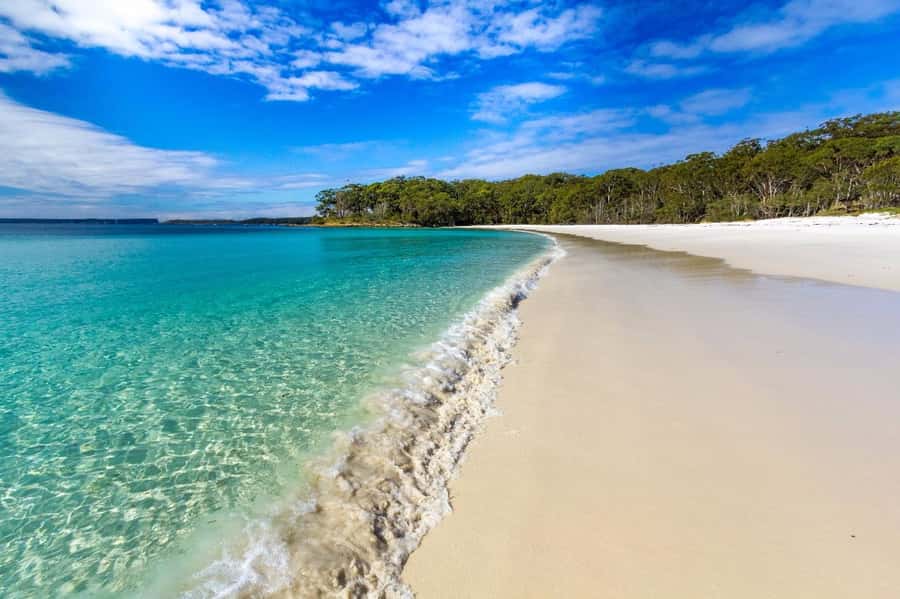 Sydney: Jervis Bay Day Trip with Dolphins, Roos & Beach Time - Hyams Beach and the White Sands Trail