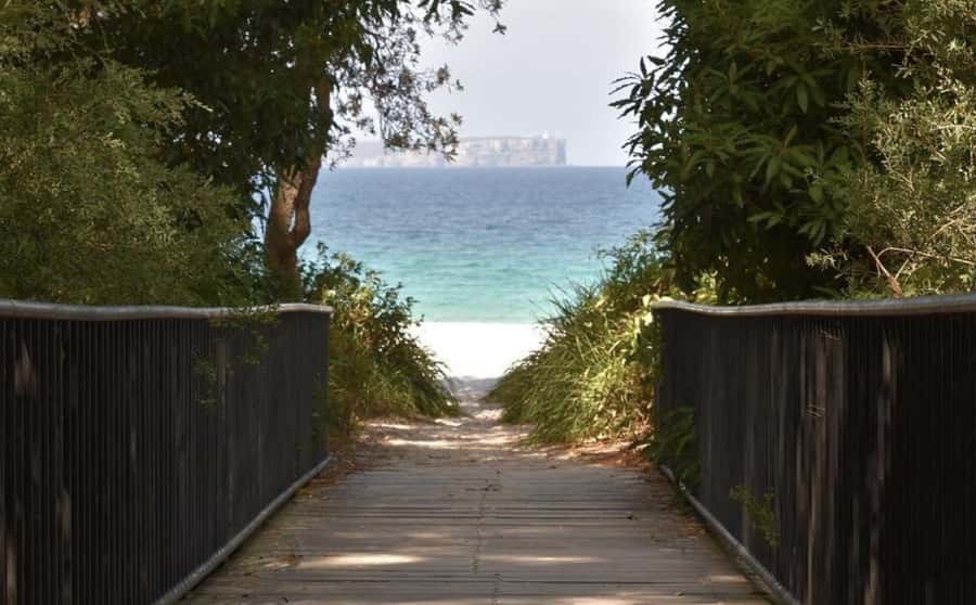 Sydney: Jervis Bay Day Trip with Dolphins, Roos & Beach Time - Cave Beach and Booderee National Park wildlife