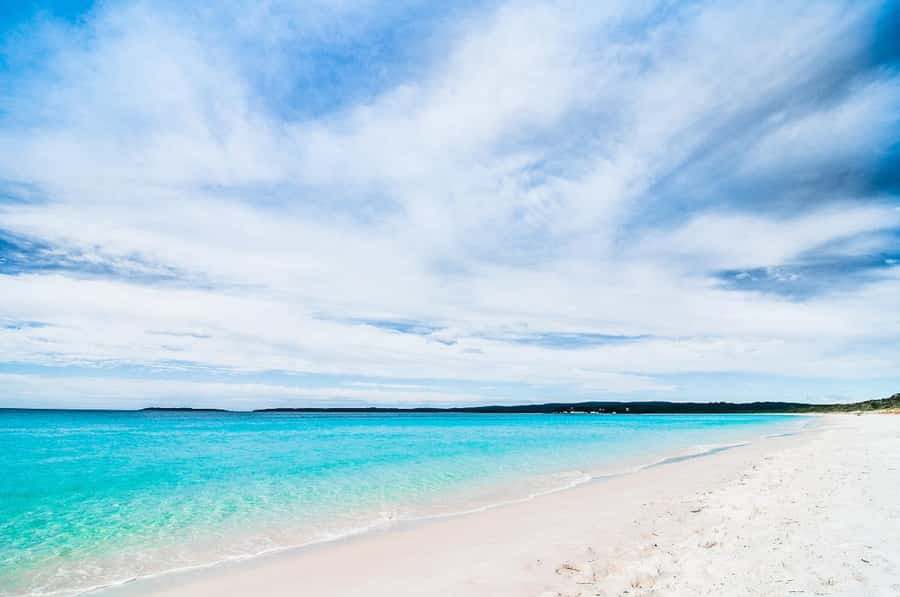 Sydney: Jervis Bay Day Trip with Dolphins, Roos & Beach Time - Is $120 good value?