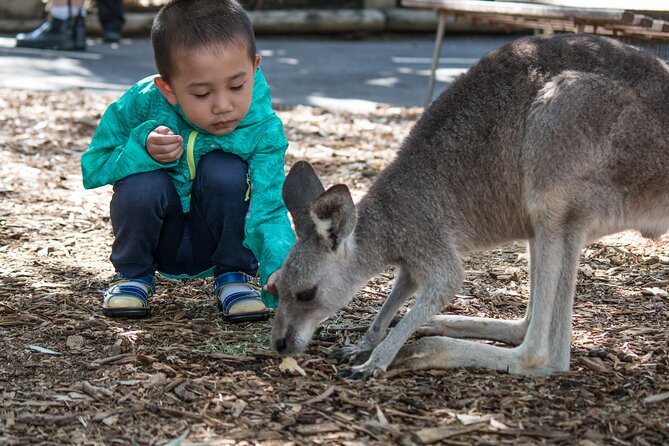 Sydney: Luxury Blue Mountains Adventure as a Small Group Day Tour - What the $204.41 price really covers