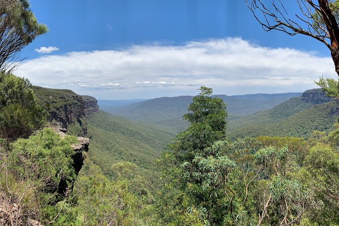 Sydney: Luxury Blue Mountains Adventure as a Small Group Day Tour - Who should book this tour
