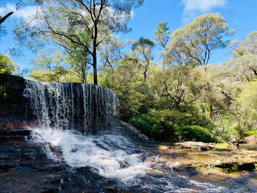 Sydney: Luxury Blue Mountains Adventure with Wentworth Falls - Key points at a glance