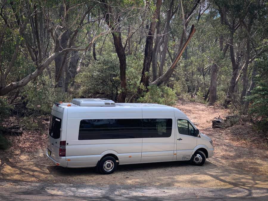 Sydney: Luxury Blue Mountains Adventure with Wentworth Falls - Lunch and village time in Leura