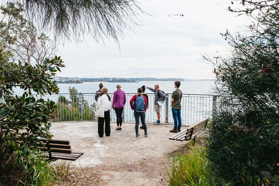 Sydney: Manly and Shelly Beach Snorkeling Tour - Key points at a glance