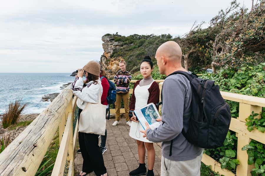 Sydney: Manly and Shelly Beach Snorkeling Tour - Timing, weather, and what to bring