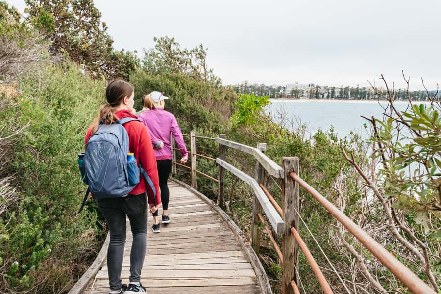 Sydney: Manly and Shelly Beach Snorkeling Tour - Snorkeling in Cabbage Tree Bay Aquatic Reserve
