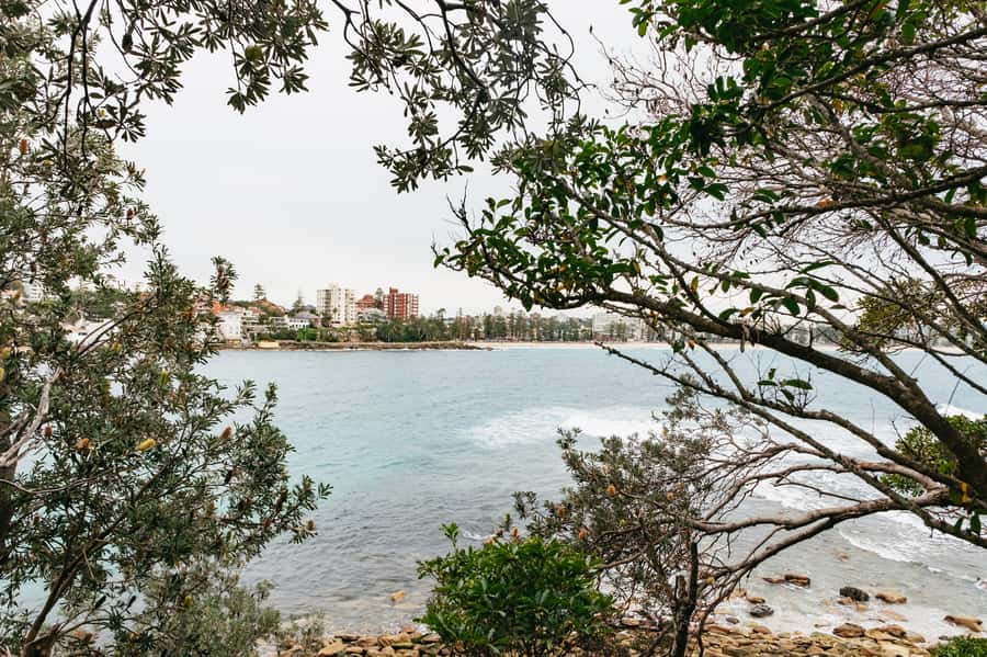 Sydney: Manly and Shelly Beach Snorkeling Tour - Who should book this activity?