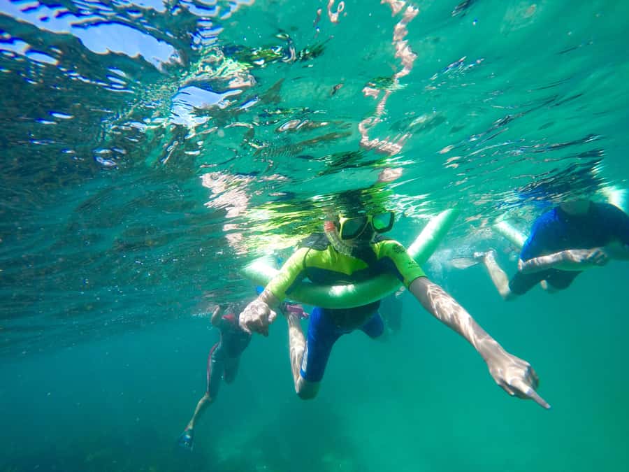 Sydney: Manly and Shelly Beach Snorkeling Tour - Meeting at Shelly Beach near the Boat House Cafe