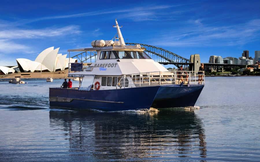 Sydney: Scenic Whale Watching Cruise - Whales Guaranteed - Who should book this Sydney whale cruise?