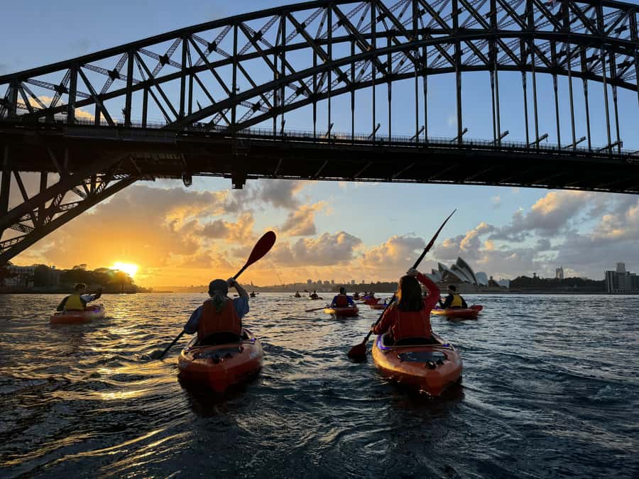 Sydney: Sunrise Kayak, Opera House & Under Harbour Bridge - Guide-taken photos and video
