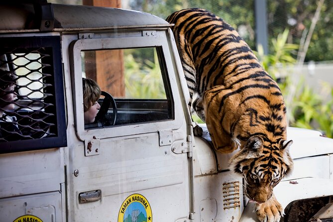 Sydney Taronga Zoo General Entry Ticket - Wild Asia and the larger animal habitats