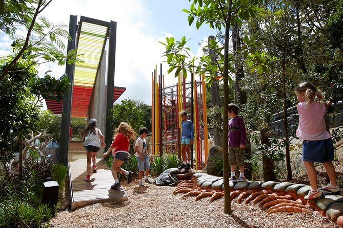 Sydney Taronga Zoo General Entry Ticket - The free-flight bird presentation deserves priority