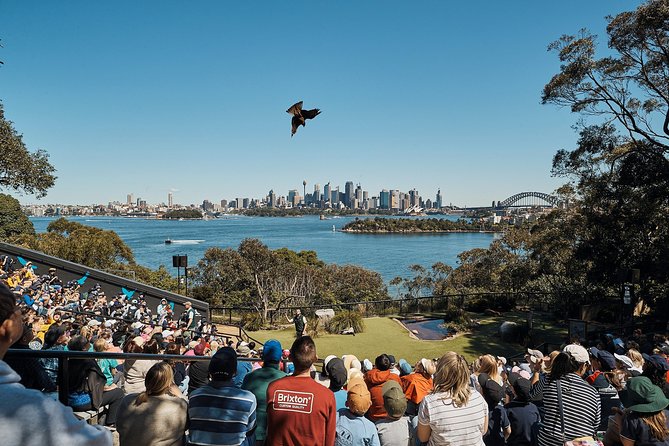 Sydney Taronga Zoo General Entry Ticket - Food, picnic planning, and the four-hour schedule