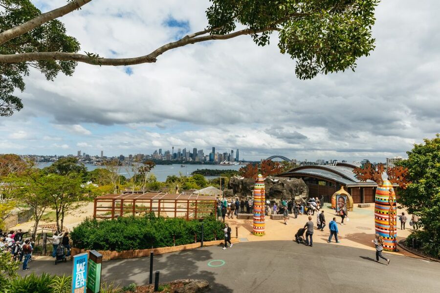 Sydney: Taronga Zoo Tickets - Giraffes, big cats, and the best photo stops