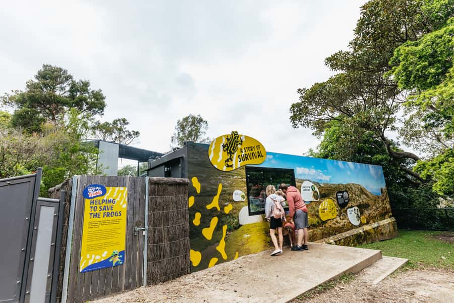 Sydney: Taronga Zoo Tickets - Accessibility, strollers, and practical comfort