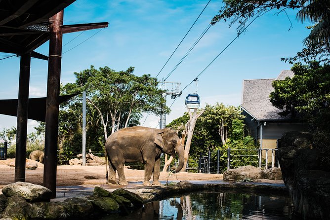 Sydney Taronga Zoo Wild Australia Experience - Key points at a glance