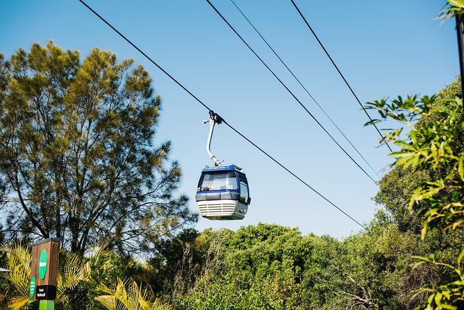 Sydney Taronga Zoo Wild Australia Experience - Refreshments with a view over Sydney Harbour