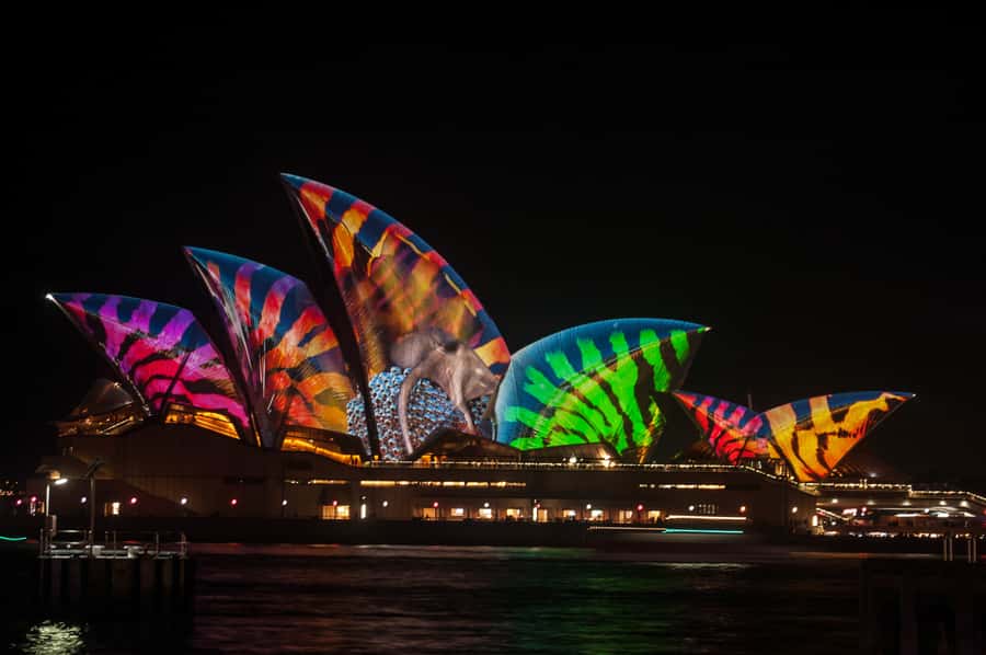 Sydney: Vivid Festival of Light Harbor Cruise with Dinner - Key points to know before booking