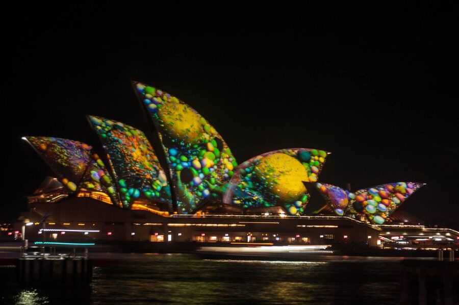 Sydney: Vivid Festival of Light Harbor Cruise with Dinner - What the buffet dinner is really like