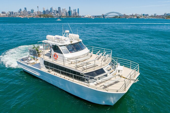 Sydney: Whale Watching Adventure Cruise - Sydney whale watching at a glance