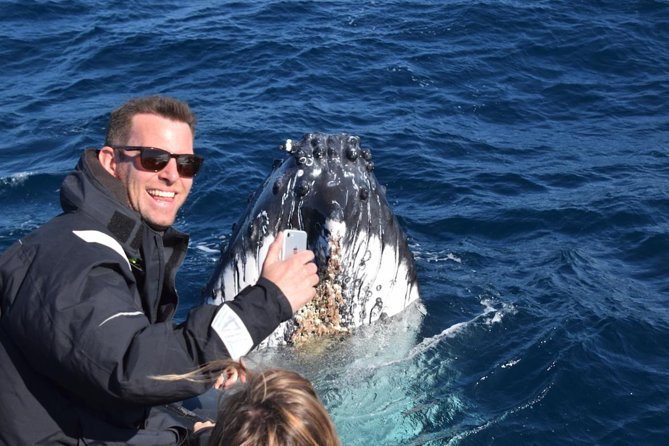 Sydney Whale-Watching by Speed Boat - Is $92.52 a good value?