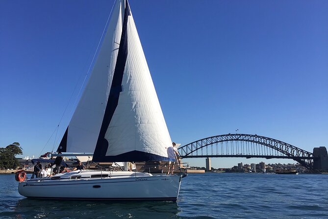 Sydney Whale Watching Cruise from Circular Quay - Sightings can range from a blow to a full breach