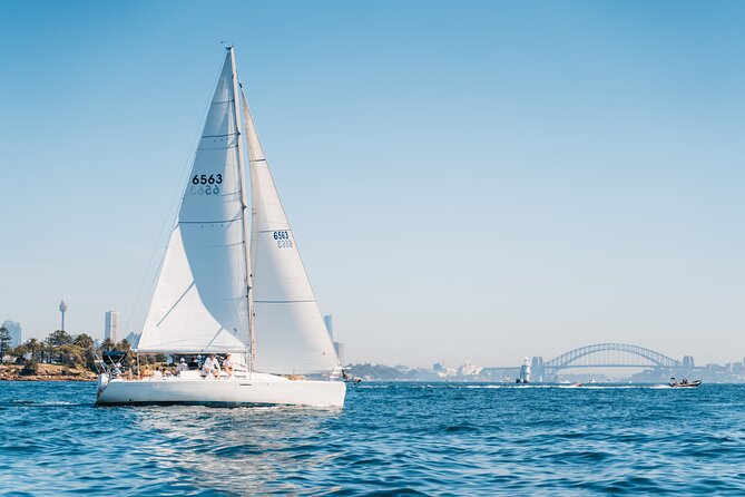 Sydney Whale Watching Cruise from Circular Quay - Commentary, crew, and the value of local guidance