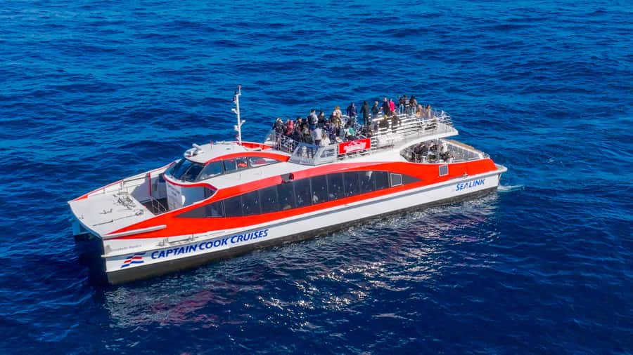 Sydney: Whale Watching & Wildlife Cruise - Practical plan for your day