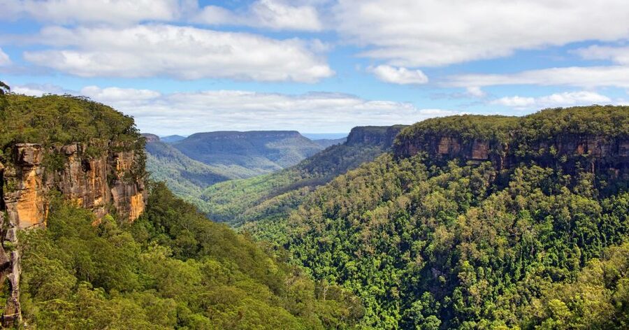 Sydney: Wildlife, Waterfalls and Wine Small Group Tour - Southern Highlands wine at the end of the day