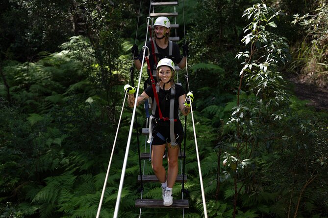 Tamborine Mountain TreeTop Challenge Adventure Park - Key points at a glance