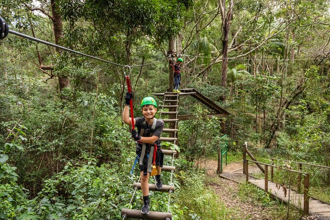 Tamborine Mountain TreeTop Challenge Adventure Park - Arriving at Tamborine Mountain and Thunderbird Park