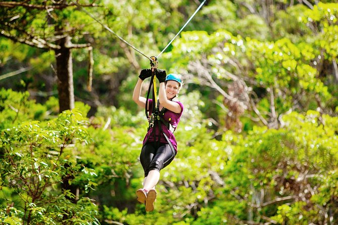 Tamborine Mountain TreeTop Challenge Adventure Park - Is $50.21 good value?