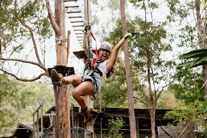 Tamborine Mountain: TreeTop Challenge Adventure Park - Starting on the four easier courses