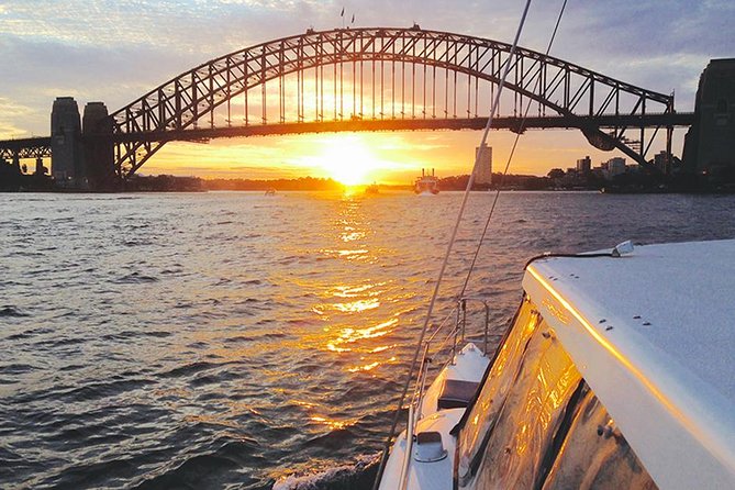 Taronga Zoo Entry & Return Ferry - Sydney Harbour - Keeper talks, seals, and the free-flight bird show