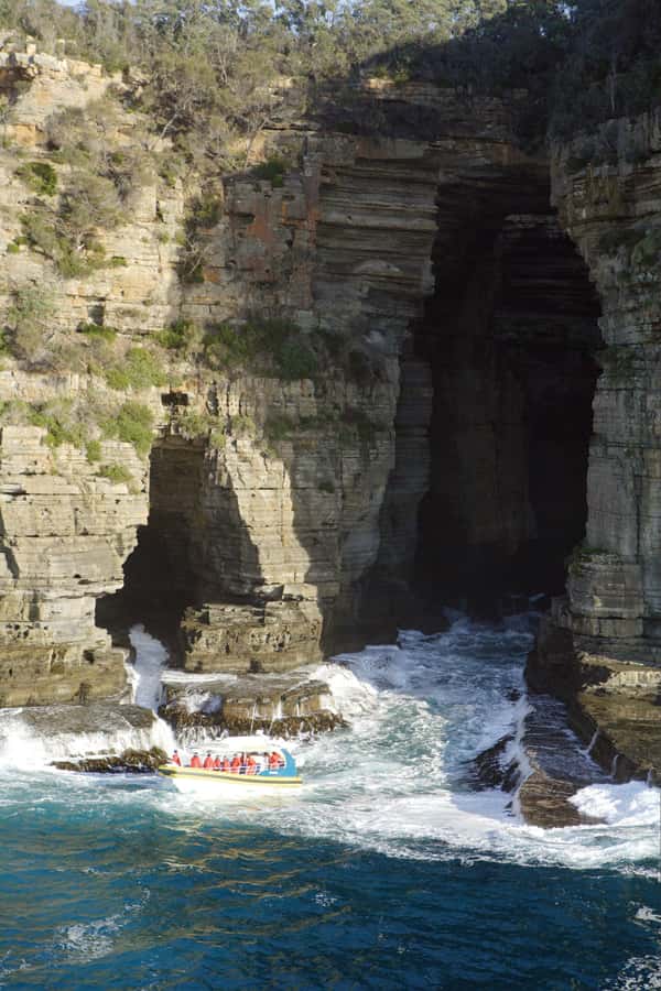 Tasman Peninsula Tour, Cruise & Port Arthur Historic Site - Is $233 a fair price?