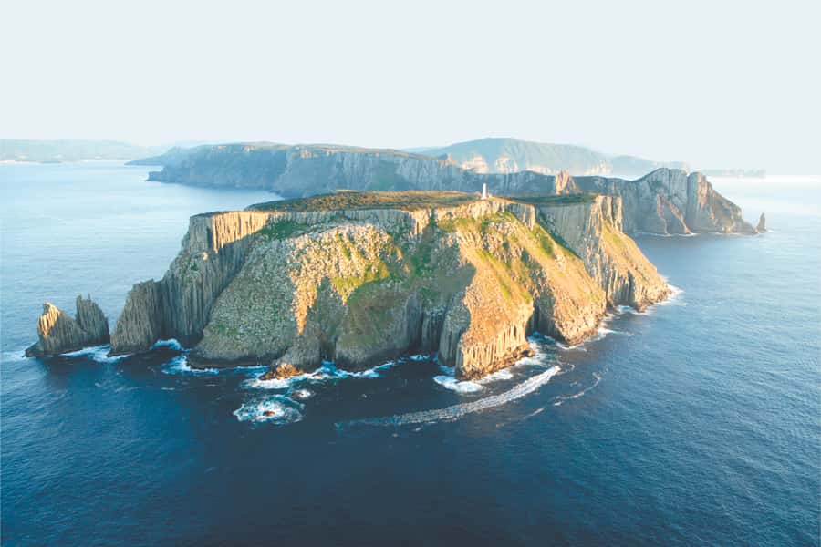 Tasman Peninsula Tour, Cruise & Port Arthur Historic Site - Wildlife sightings depend on nature