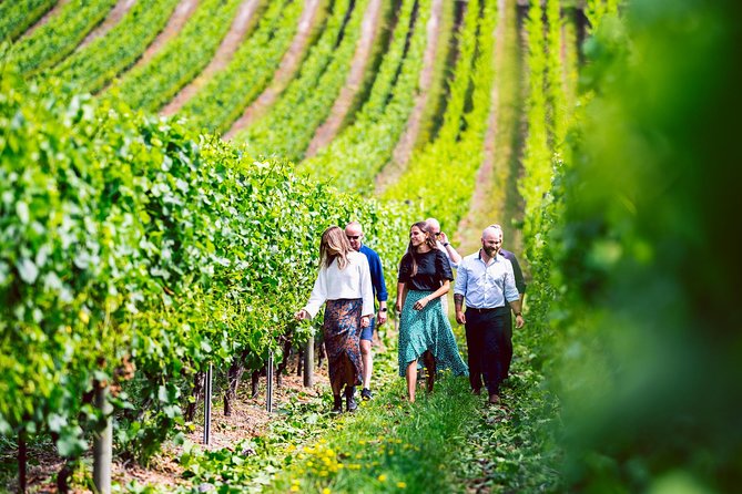Tasmanian Premium Wine Tour with Tasmanian Cheese Platter - Key points to know before booking