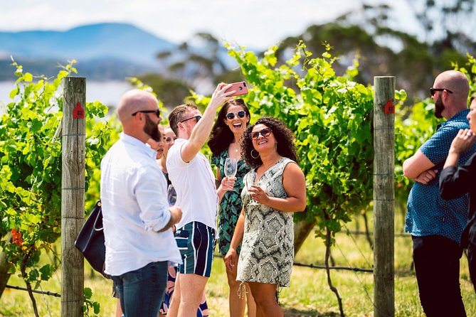 Tasmanian Premium Wine Tour with Tasmanian Cheese Platter - What the Tasmanian Cheese Platter adds