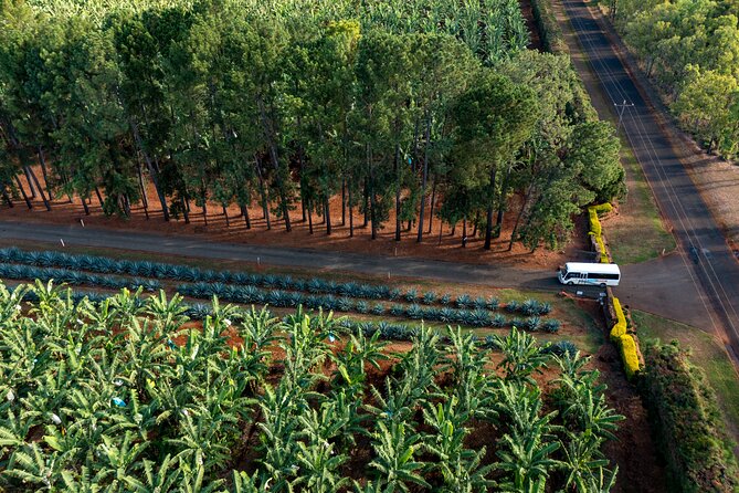 Taste the Atherton Tablelands Food & Wine Tour from Port Douglas - Emerald Creek Ice-Creamery and Humpy Nut World